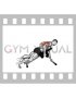 Dumbbell Incline Triceps Kickback (male)