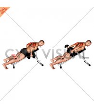 Dumbbell Incline Triceps Kickback (male)
