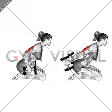 Dumbbell Kneeling Triceps Kickback (female)