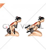 Dumbbell Kneeling Triceps Kickback (female)