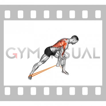Resistance Band One Arm Bent Over Row