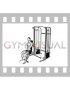 Cable Seated Unilateral Biceps Curl