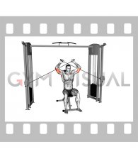 Cable Seated High Triceps Extension