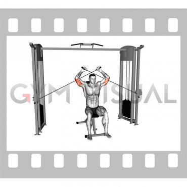 Cable Seated High Triceps Extension