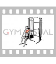 Cable Seated Single Arm Chest Press (male)