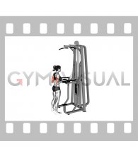 Lever Assisted Triceps Pushdown (female)