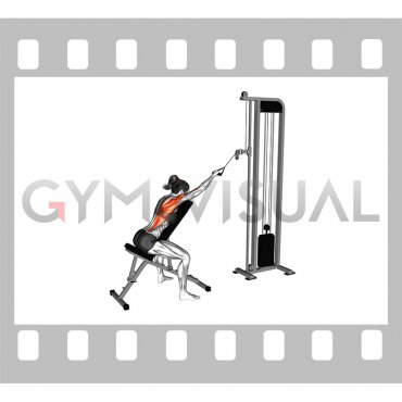 Cable Incline Single Arm Lat Pulldown (female)