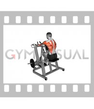 Lever Supinated Grip Seated Row (plate loaded)
