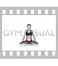 Seated Twist Stretch (female)