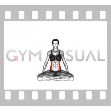 Seated Twist Stretch (female)