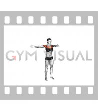 Bodyweight Standing Straight Arm Chest High Fly (female)