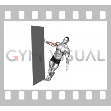 Standing Biceps Curl Door Frame (male)