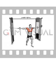 Cable Standing Alternate Chest Fly