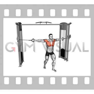 Cable Standing Alternate Chest Fly