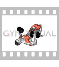 Dumbbell Glute Bridge Chest Press (male)