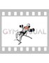 Dumbbell Incline Alternate Fly