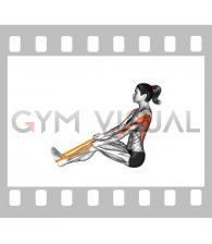 Resistance Band Seated Row (female)