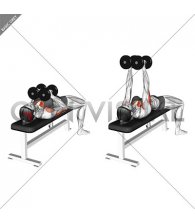 Dumbbell Squeeze Bench Press (female)
