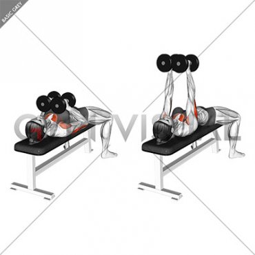 Dumbbell Squeeze Bench Press (female)