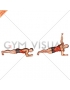 Front Plank with Twist