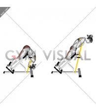 Resistance Band 45 Degree Hip Extension Glute Focused (female)