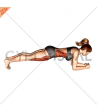 Front Plank
