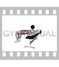 Dumbbell 3 Point Bench Press (male)