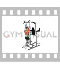 Neutral Grip Chin-up (male)