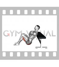 Glute Bridge from Bench (male)