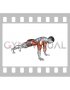 High Plank Hip Tap (male)