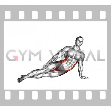 Straight Arm Side Plank (male)