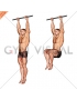 Hanging Leg Raise