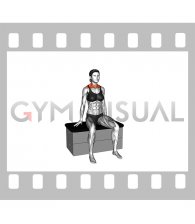 Seated Side Neck Stretch on a padded stool (female)