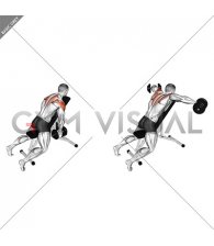 Dumbbell Chest Supported Lateral Raises
