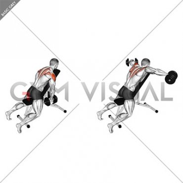 Dumbbell Chest Supported Lateral Raises