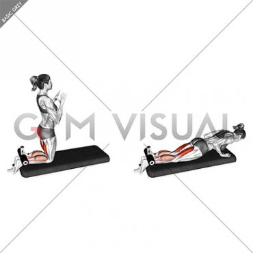 Inverse Leg Curl with Bench Pads (female)