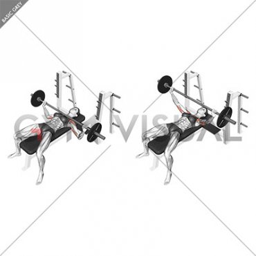 Barbell Wide Bench Press (female)