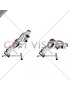 Dumbbell Hyperextension (male)