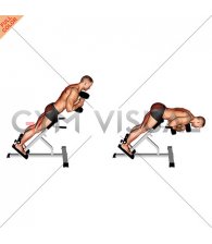 Dumbbell Hyperextension (male)