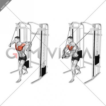 Cable Standing Crossover (male)