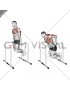 Triceps Dip on High Parallel Bars (male)