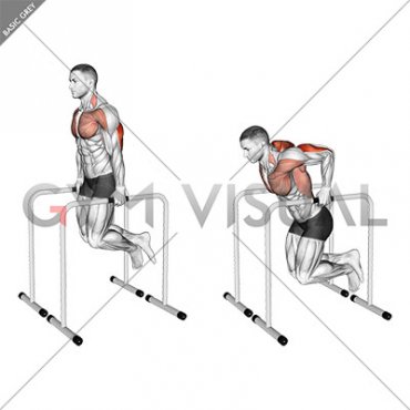Triceps Dip on High Parallel Bars (male)