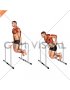 Triceps Dip on High Parallel Bars (male)