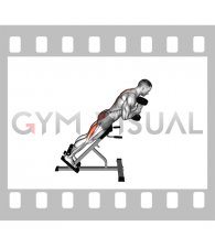 Dumbbell Hyperextension (male)