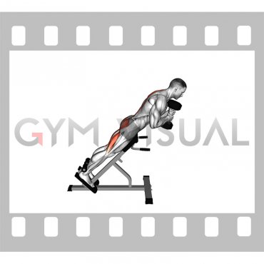 Dumbbell Hyperextension (male)