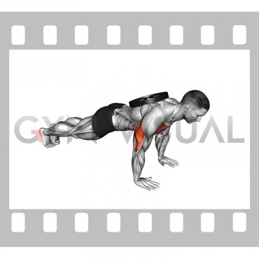 Weighted Plate Push-up (male)