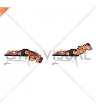 Hyperextension (on bench)