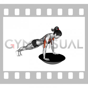 Push-up (bosu ball) (female)