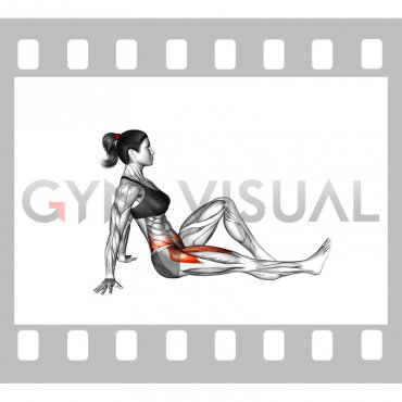 Sitting Leg Lift (female)