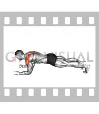 Plank Scapula Push-up (male)